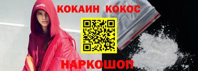 индика Новодвинск