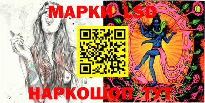 индика Новодвинск