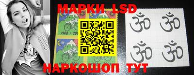 индика Новодвинск