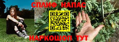 ешки Новозыбков