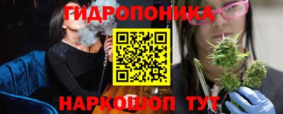 индика Новодвинск