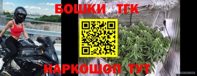 индика Новодвинск