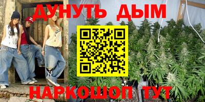 индика Новодвинск