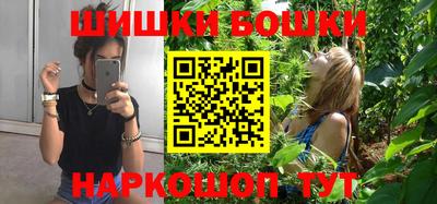 индика Новодвинск