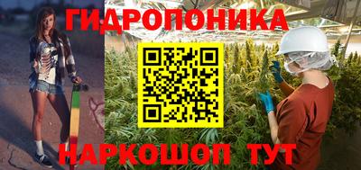 ешки Новозыбков