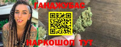 индика Новодвинск
