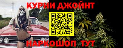 индика Новодвинск