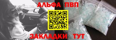 индика Новодвинск