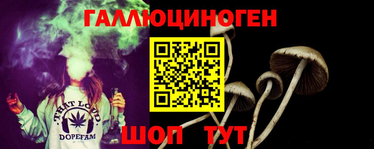 Тимашёвск  Галлюциногенные грибы мухоморы  Галлюциногенные грибы прущие грибы  Вход с VPN 